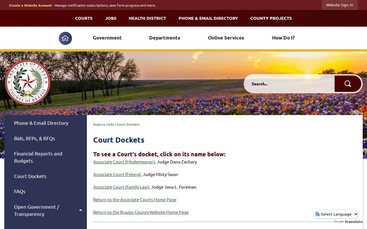 Brazos County criminal court case docket links
