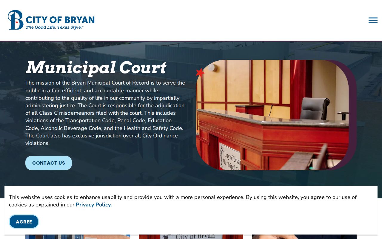 Bryan criminal history Municipal Court records and docket page