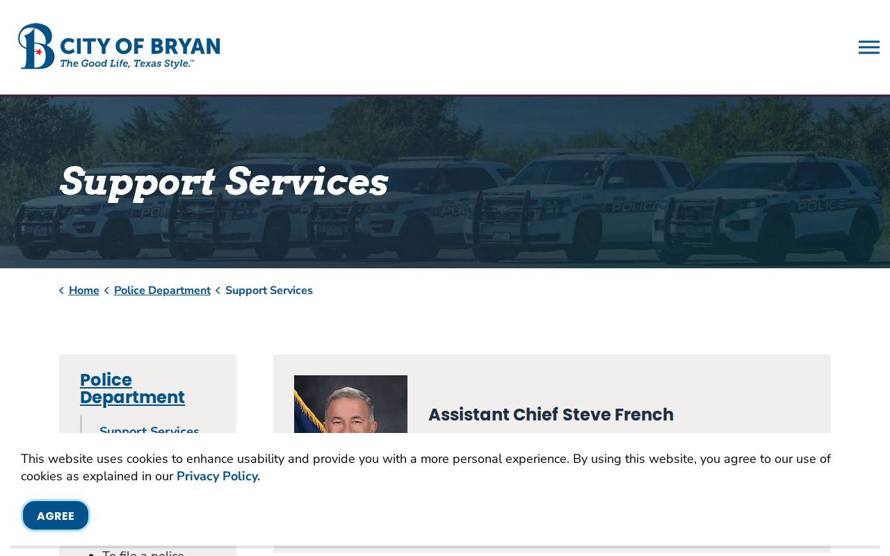 Bryan criminal history police records services